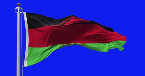 Ulusal Malavi bayrağı mavi arka planda izole bir şekilde dalgalanıyor. Kusursuz 3D canlandırma animasyonu. Krom anahtar. Yavaş çekim döngüsü. Mavi ekran. 4K - Video, Çekim