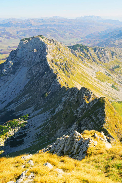 Widok na górę Ranisava w Parku Narodowym Durmitor, Czarnogóra. Zakrzywione pasmo górskie, stoki porośnięte jasnożółtą trawą i sylwetkami gór w tle. - Zdjęcie, obraz