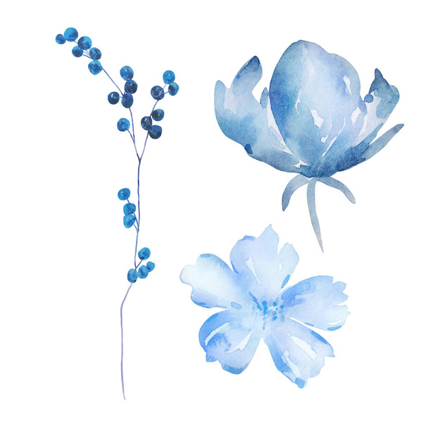 Ensemble de fleurs bleu aquarelle, illustration florale pour la conception et l'impression - Photo, image