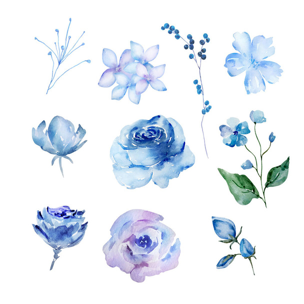 Conjunto de flores de flor de acuarela azul, ilustración floral para diseño e impresión - Foto, imagen