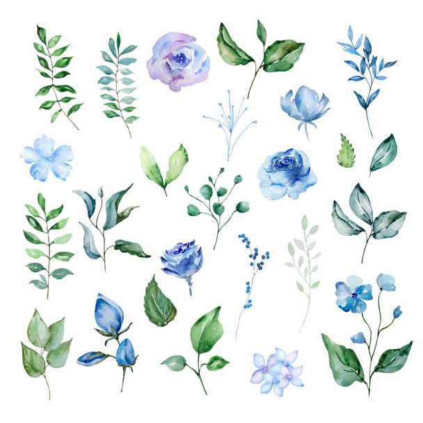 Набір квітів блакитного акварелі, квіткова ілюстрація для дизайну та друку - Фото, зображення
