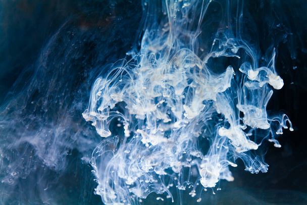 Een betoverende dans van inktachtige ranken ontvouwt zich door azuurblauwe wateren, die een gevoel van diepte en intriges oproepen. witte inkt viel in het water en gefotografeerd terwijl in beweging. - Foto, afbeelding