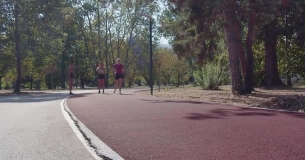 Grupa młodych kobiet sportowców biegnie po słonecznym torze, ćwicząc na świeżym powietrzu, fitness i koncepcję zdrowego stylu życia. - Materiał filmowy, wideo