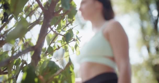Jonge atletische vrouw pauzeert om water te drinken uit een fles tijdens een outdoor oefening sessie op een zonnige dag. - Video