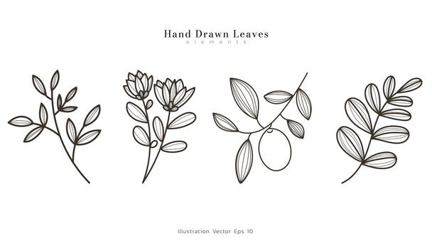 コレクションセット 植物ラインアート 手描き葉 フローラルブランチ,白い背景に印刷するための最小限の線画,ベクトルイラストEPS 10 - ベクター画像