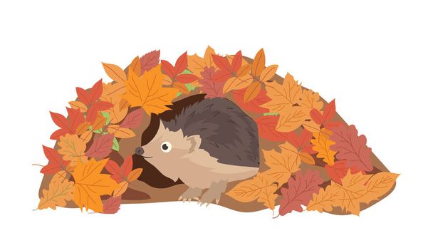 Cute hedgehog flat cartoon character living in burrow made from autumn leaves isolated on white background. Funny wild forest animal preparing for winter hibernation childish vector illustration - Vector, Image