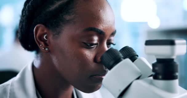 Microscoop, wetenschap en zwarte vrouw wetenschapper in laboratorium voor medisch, experimenteel of chemisch onderzoek. Onderzoek, gezondheidszorg of Afrikaanse gezondheidsdeskundige met bacteriënstudie, virus- of dna-analyse. - Video