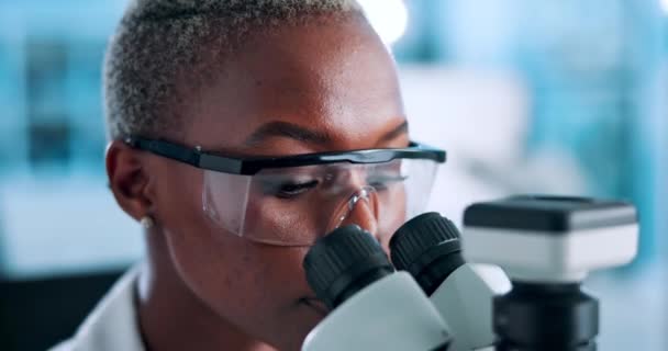 Onderzoek, microscoop en zwarte vrouwelijke wetenschapper in een lab voor medisch, experimenteel of resultaatonderzoek. Wetenschap, gezondheidszorg en Afrikaanse gezondheidsdeskundige met bacteriënstudie, virus- of dna-analyse. - Video
