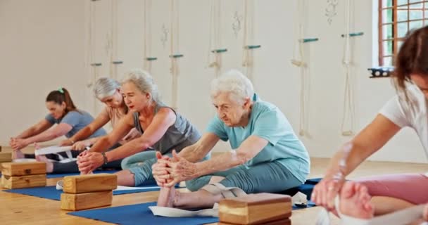 Γυμναστήριο, γιόγκα και ηλικιωμένες γυναίκες που τεντώνονται για ευεξία, υγιές σώμα και δραστήριο τρόπο ζωής στο πάτωμα. Συνταξιοδότηση, πιλάτες και ηλικιωμένα άτομα σε αθλητικό στρώμα για άσκηση, προπόνηση και προπόνηση μαζί. - Πλάνα, βίντεο