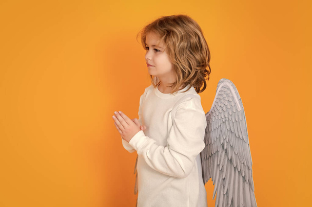 Andělské modlitby. Dítě v andělském kostýmu. Dítě s andělskými křídly. Izolovaný studiový záběr - Fotografie, Obrázek