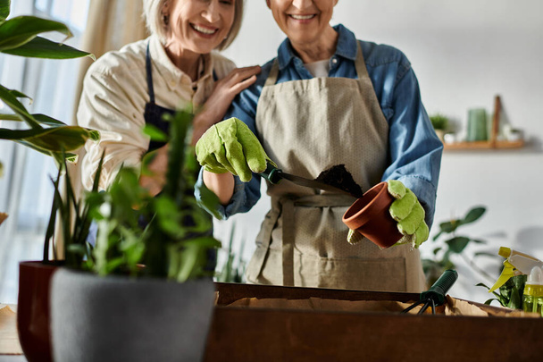 Due donne in grembiuli piantano piante in una pentola. - Foto, immagini