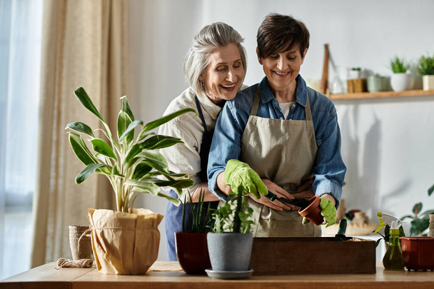 Дві жінки в фартухах доглядають за рослинами вдома. - Фото, зображення