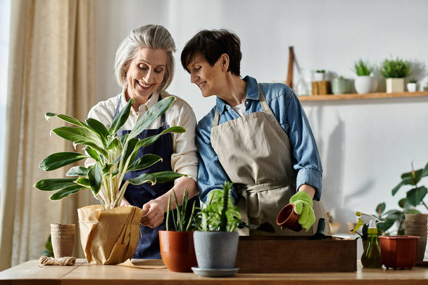 Dos mujeres en delantales cuidando una planta en maceta con amor y experiencia. - Foto, imagen
