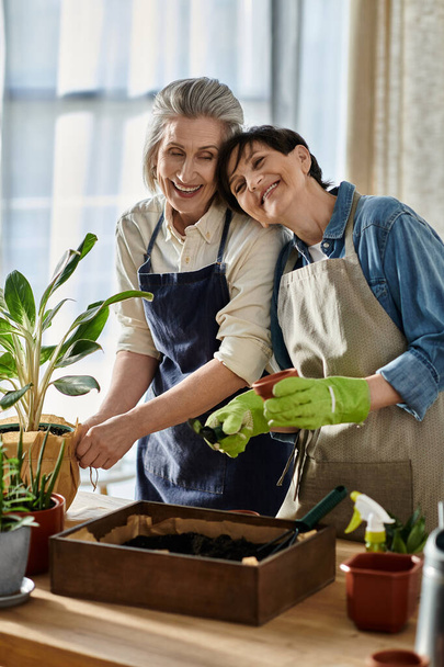 Δύο γυναίκες με ποδιές να φυτεύουν ένα φυτό σε μια κατσαρόλα μαζί.. - Φωτογραφία, εικόνα