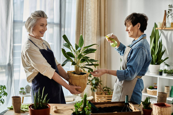 Twee vrouwen in schorten die voor een potplant zorgen. - Foto, afbeelding