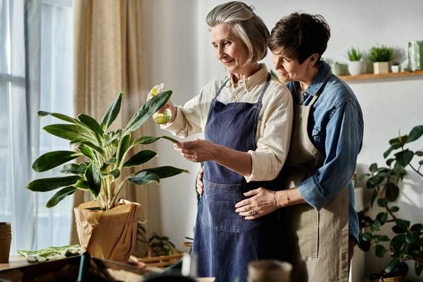 Dos ancianas observando pacíficamente una planta en maceta. - Foto, imagen