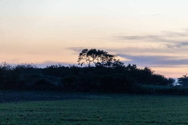 畑の上に沈む夕日 - 写真・画像