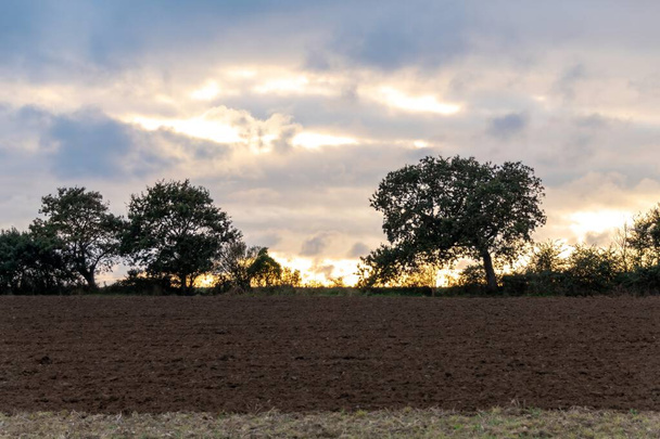 畑の上に沈む夕日 - 写真・画像