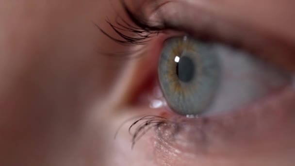 Lähikuva makro silmä auki ihmisen iiris. Vilkkuva silmä. kauniit siniset silmät. terve näkö. tietoisuuden käsite - Materiaali, video