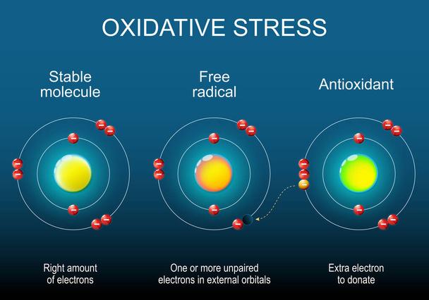 Vapaa radikaali, vakaa molekyyli ja antioksidantti. Atomin rakenne. Antioksidantti lahjoittaa elektronin vapaille radikaaleille. Hapettava stressi. Isometrinen litteä vektorikuva. - Vektori, kuva