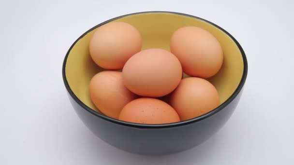 Tyúk tojás fog - Felvétel, videó
