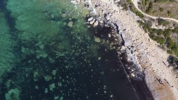 Imgiebah Bay Beach Mellieha, poloostrov Selmun, letecký výhled na záliv Imgiebah, vlny smaragdového moře smíchané s mořskými řasami šplouchajícími do skalnaté pláže. Vysoce kvalitní 4K záběry - Záběry, video
