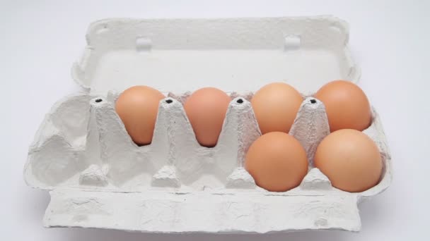鶏の卵を取る - 映像、動画