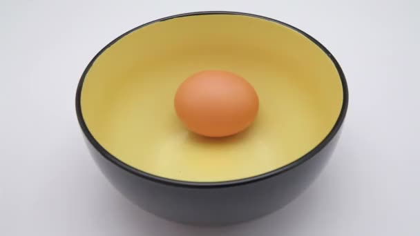 Chicken egg take - Footage, Video