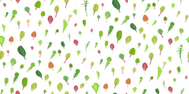 Míchané salátové listy. Cartoon sada zelené červené syrové listy bezešvé vzor. Arugula, špenát, salát, řeřicha. Organické vitamínové ingredience pro vaření zdravého jídla. Vektorová ilustrace - Vektor, obrázek