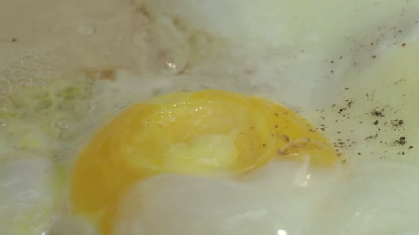 Csirke sült tojás - Felvétel, videó