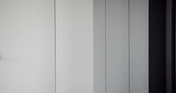 Moderne Wohnung mit weißer moderner Tür und weißem minimalistischen Griff. Lifestyle und elegantes Zimmer. Moderner Showroom. Weiße und graue Wand im minimalistisch modernen Interieur.  - Filmmaterial, Video