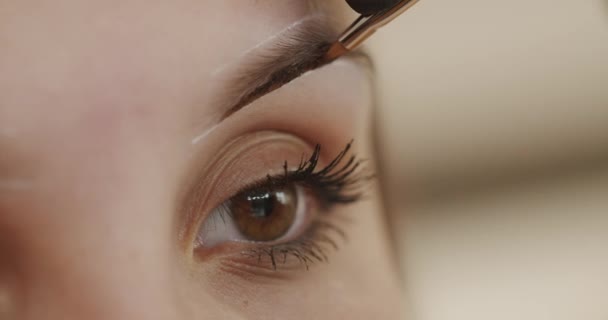 Augenbrauenfärbung mit Henna in einem Schönheitssalon. Der Brauenmeister korrigiert die Form der Augenbrauen mit einem Pinsel. Eine professionelle Kosmetikerin macht Make-up. Gesicht eines jungen Mädchens aus nächster Nähe. - Filmmaterial, Video