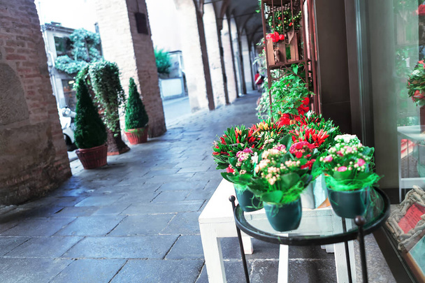 Διάδρομος με διακόσμηση λουλουδιών. Οδός Archway στην πόλη Padua στην Ιταλία  - Φωτογραφία, εικόνα