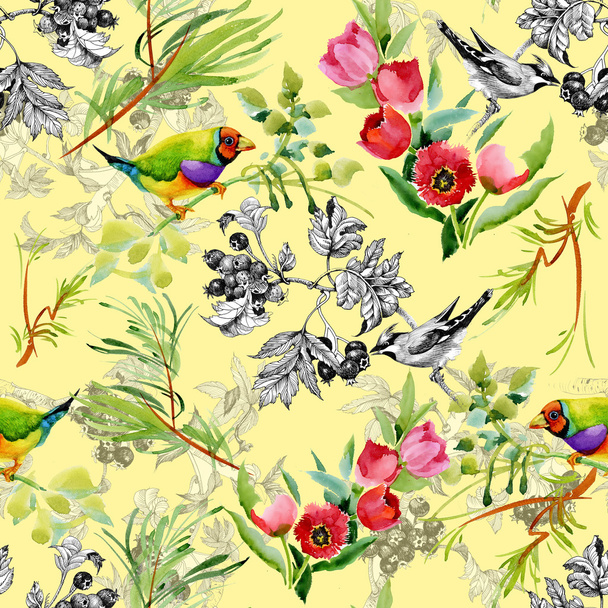 Birds with garden flowers - 写真・画像