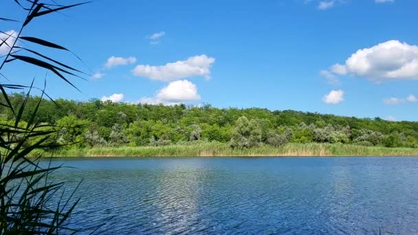 lago de verano con cielo azul. hermoso lago con un lago verde - Metraje, vídeo
