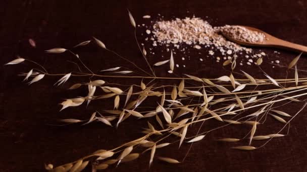 Ein Zweig, Getreide, getrocknetes Hafermehl neben einem Löffel mit seinen Samen, von oben gesehen, Studiovideo isoliert auf Holzgrund - Filmmaterial, Video