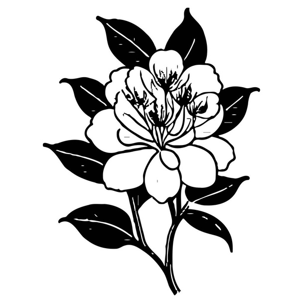 azalea flor ilustración bosquejo elemento - Vector, imagen