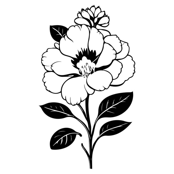 primrózsa virág illusztráció vázlat elem - Vektor, kép