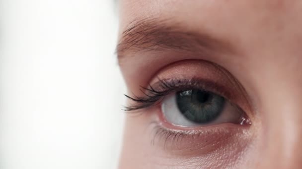 Blinzeln, die Hälfte und Auge für die Gesundheit des Sehens, Nahaufnahme und Sicht für den Blick in den weißen Hintergrund. Studio, Person und Erwachsener mit Mikroblading-Kosmetik der Augenbrauen im Gesicht mit Schönheitspflege. - Filmmaterial, Video