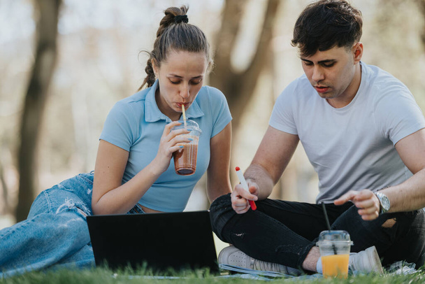 Des élèves du secondaire ou des amis collaborent à leurs devoirs avec un ordinateur portable dans un parc en plein air, profitant du soleil. - Photo, image