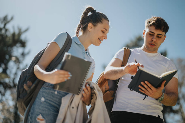 Dois jovens estudantes envolvidos em estudo em grupo, compartilhando notas em um parque em um dia ensolarado após as aulas. - Foto, Imagem