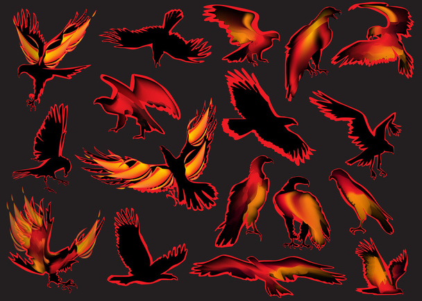 set of flame eagles - Vector, Image