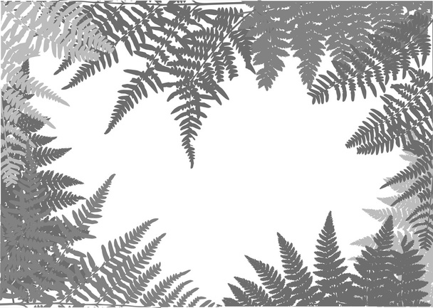 szürke páfrány keret illusztráció - Vektor, kép