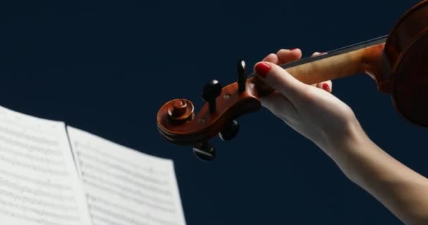 de izquierda a derecha desde los hombros hasta la partitura musical, mientras el violinista rosa y rubio toca sobre fondo azul - Metraje, vídeo
