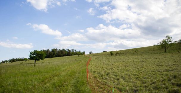 Campos de pastagem antes e depois do pastoreio - Foto, Imagem