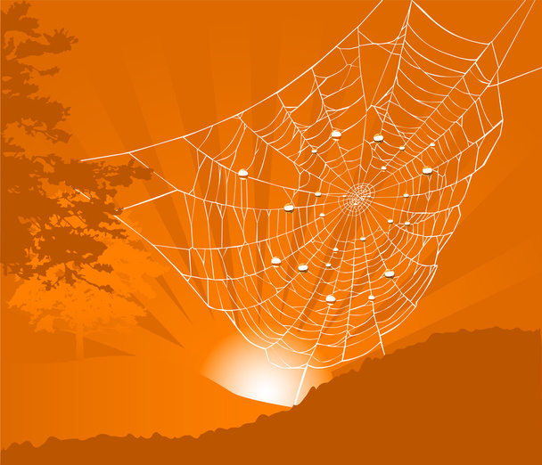 δέντρο και αράχνη web στο ηλιοβασίλεμα - Διάνυσμα, εικόνα