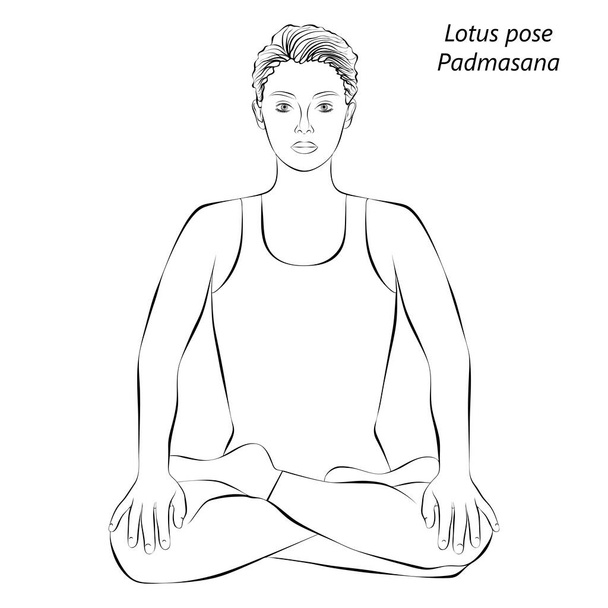 Bosquejo de mujer joven practicando Padmasana yoga pose.Lotus pose. Dificultad intermedia. Ilustración vectorial aislada. - Vector, Imagen