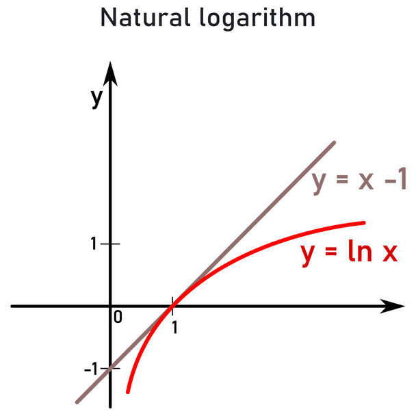 Una representación gráfica del logaritmo natural en comparación con su tangente, la función lineal x menos 1 - Vector, imagen