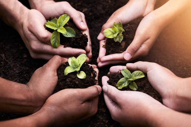 Pflanzen, Hände und Boden für die Zusammenarbeit mit der Natur, Bodenwellness und Gartenarbeit hoffen auf eine Zukunft in der Landwirtschaft. Ökologie, Teamarbeit und Menschen oder Umweltgesundheit, Gemeinschaft und Öffentlichkeitsarbeit. - Foto, Bild