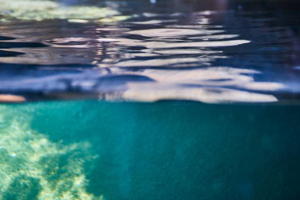 フォートウェインの静かな水中世界とダイナミックな水面を示すデュアルビュー画像を魅了. - 写真・画像